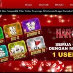 Bandar Domino Ovo Terpercaya dan Terbaik di Indonesia