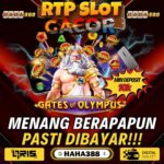 Bandar Casino Terjamin: Tempat Bermain Judi Terpercaya di Indonesia